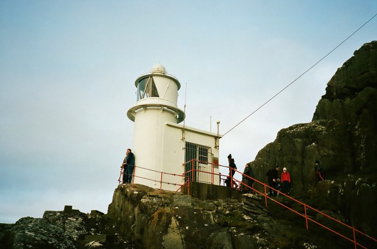 Grey Sparrow Charles Daley Sheep's Head, Co. Cork, Ireland, January 2019
